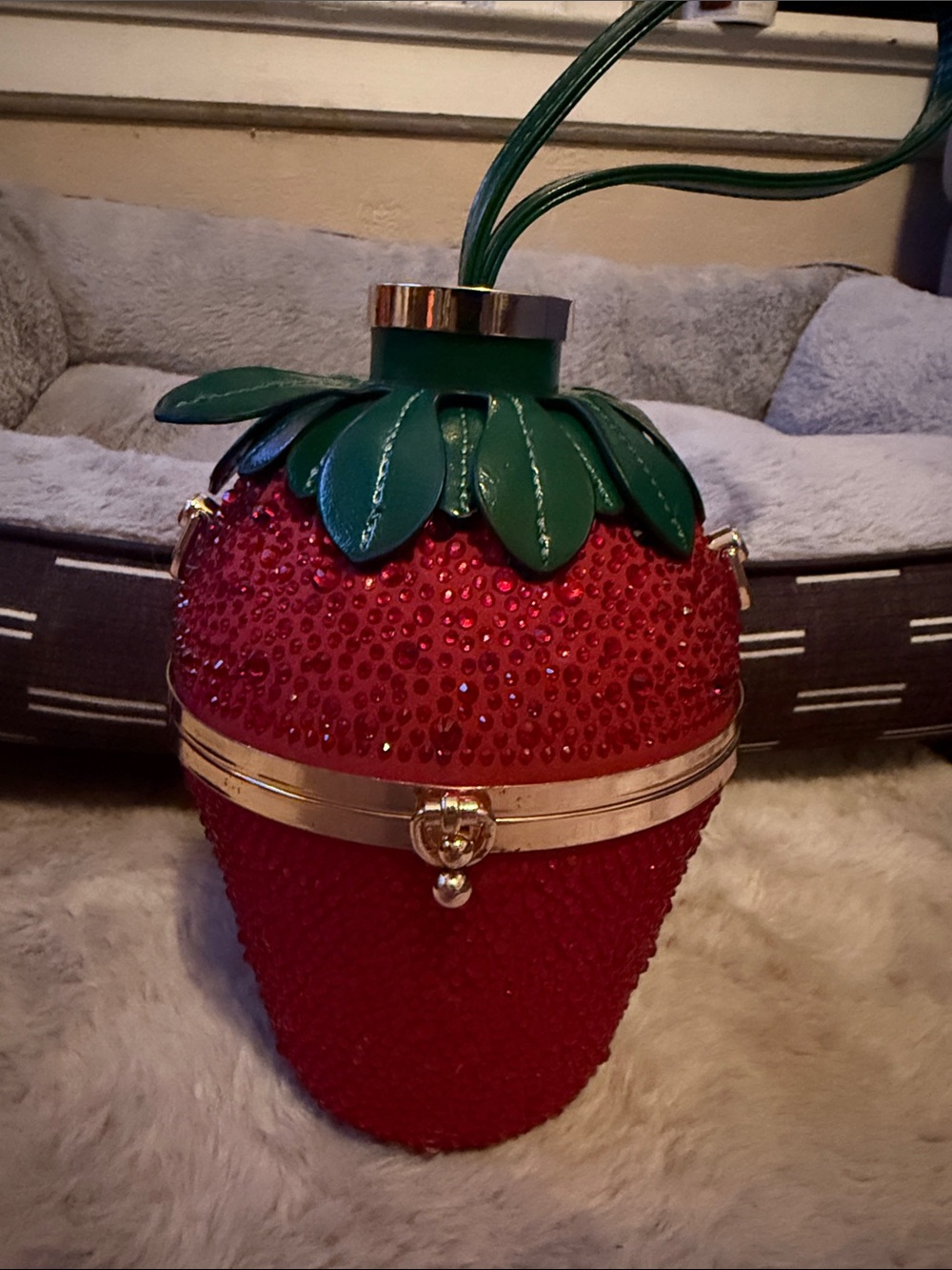 Unique Strawberry 🍓 Theme Accessory Bag/ Purse/ Carry Along
